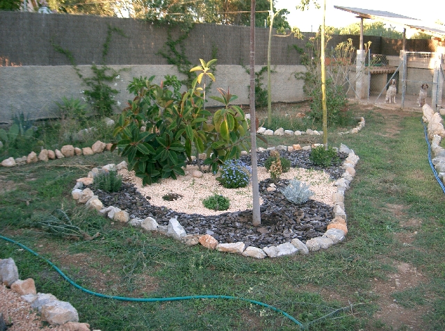 1161.jpg
