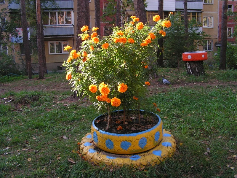 11659_image_large.jpg