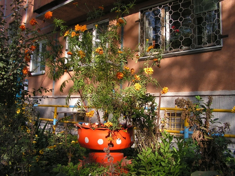 11663_image_large.jpg