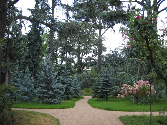 118-1801_IMG.jpg