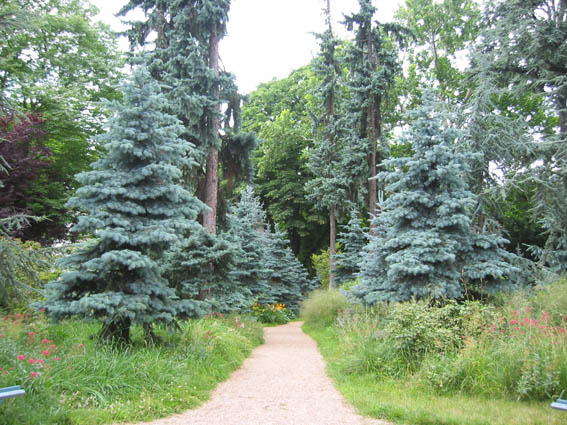 118-1808_IMG.jpg