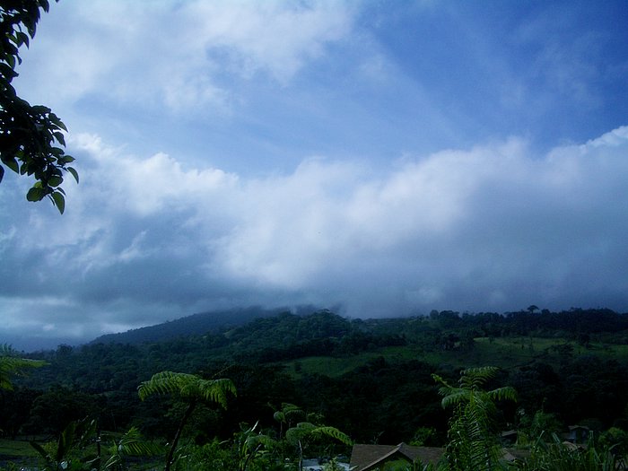 118.jpg