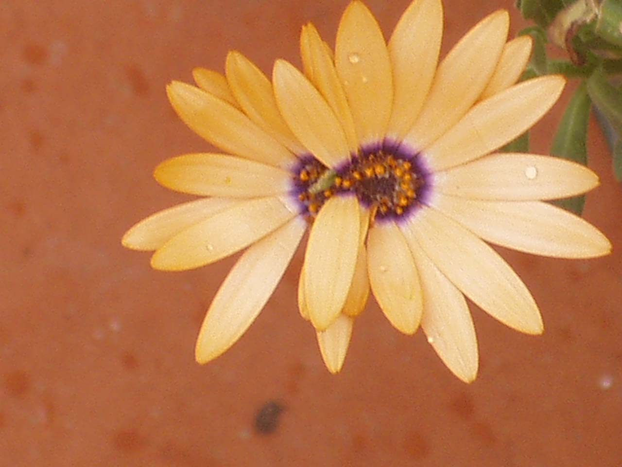 118.jpg