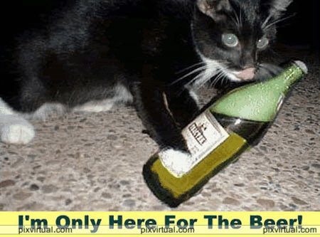 1195gnc.gif