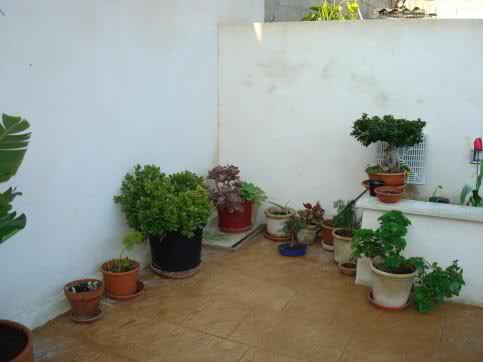 119p56q.jpg