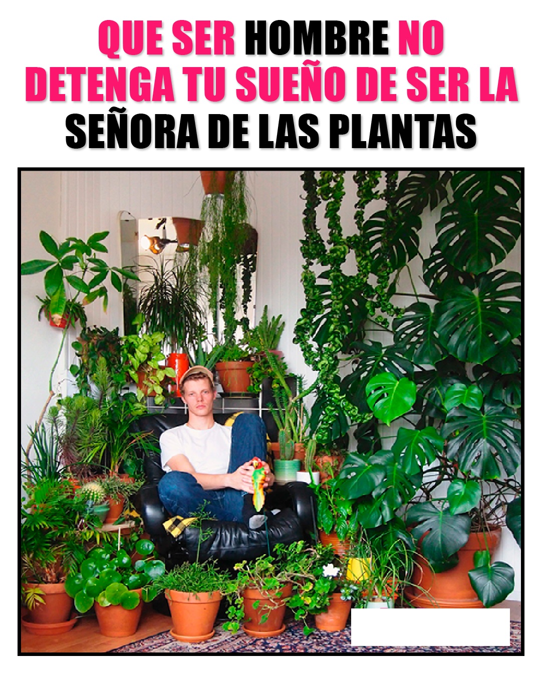 11_Suculenta_Diana_1.jpg