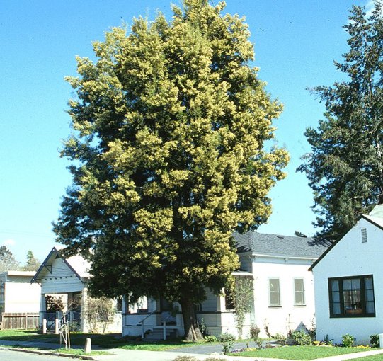 11a.jpg