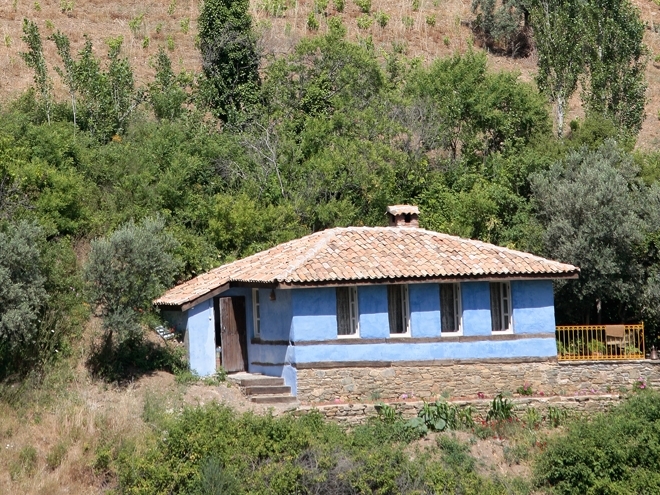 11a994p.jpg