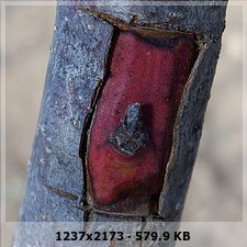 11b9443c41e1fff7fada4da65d2de5e1o.jpg