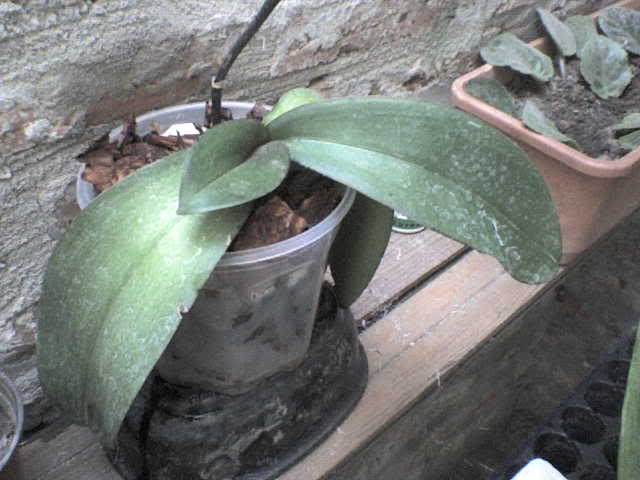 11j1btg.jpg