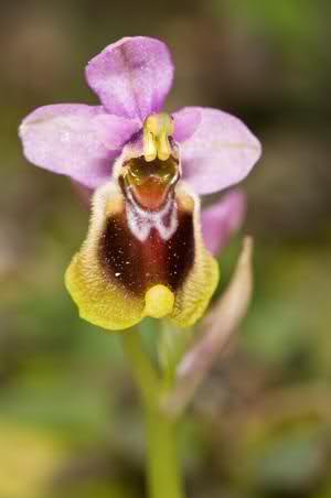 11loab6.jpg