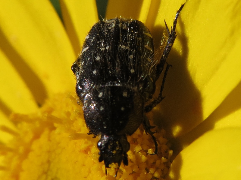 11r66md.jpg
