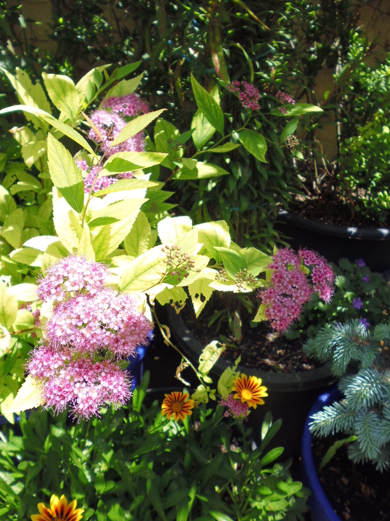 11r7qz7.jpg