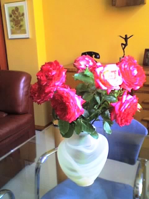 12-06-06_1241.jpg