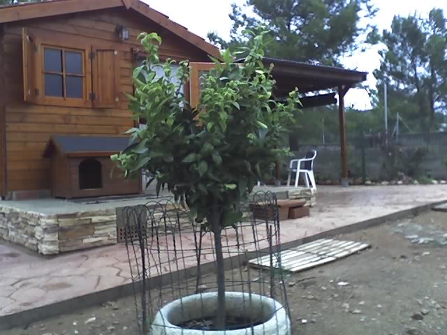 12-10-06_1435.jpg