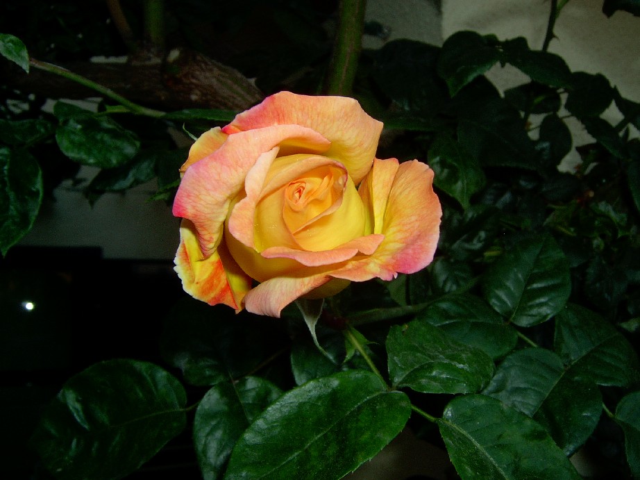 12%20Abril%2012.jpg