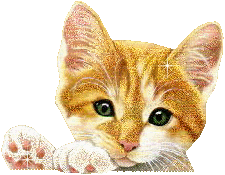 12.gif