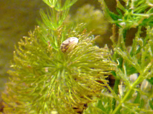 12012011919.jpg