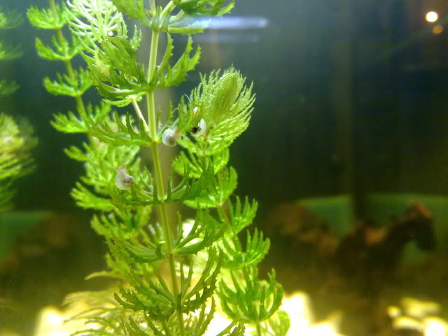 12012011920.jpg