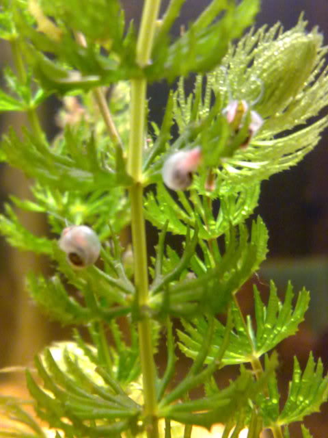 12012011921.jpg