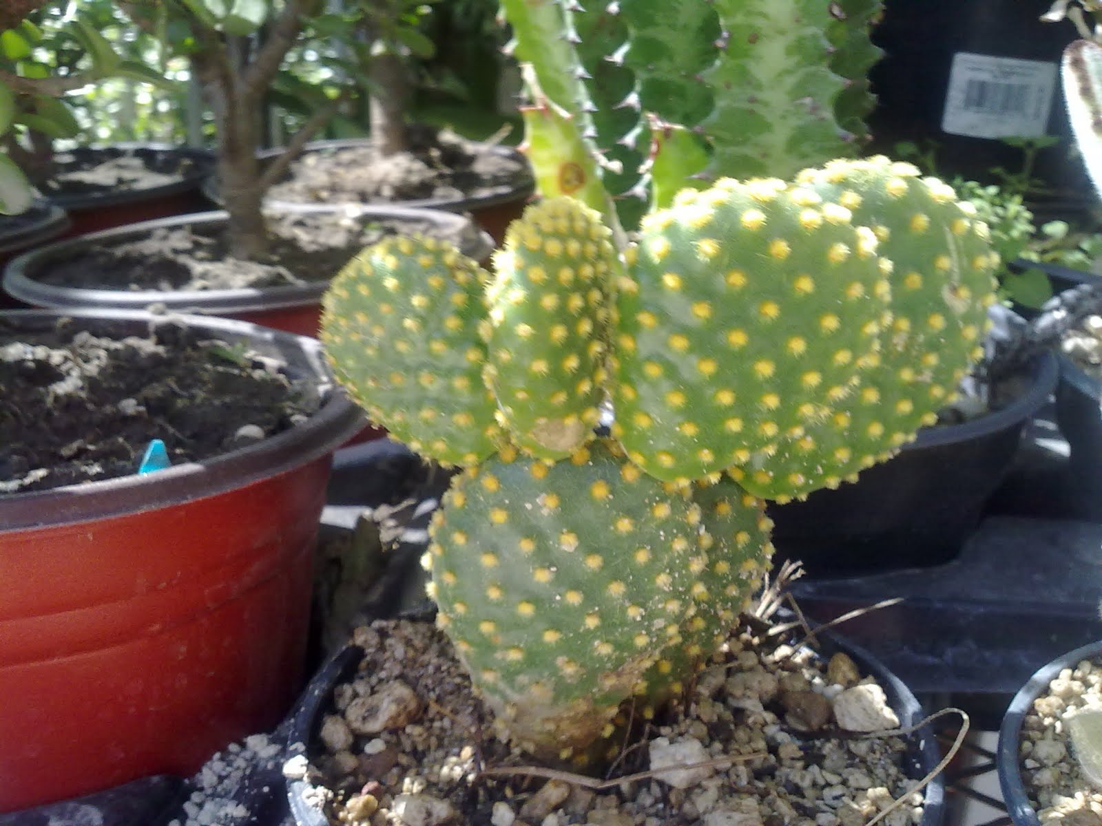 12022010063.jpg