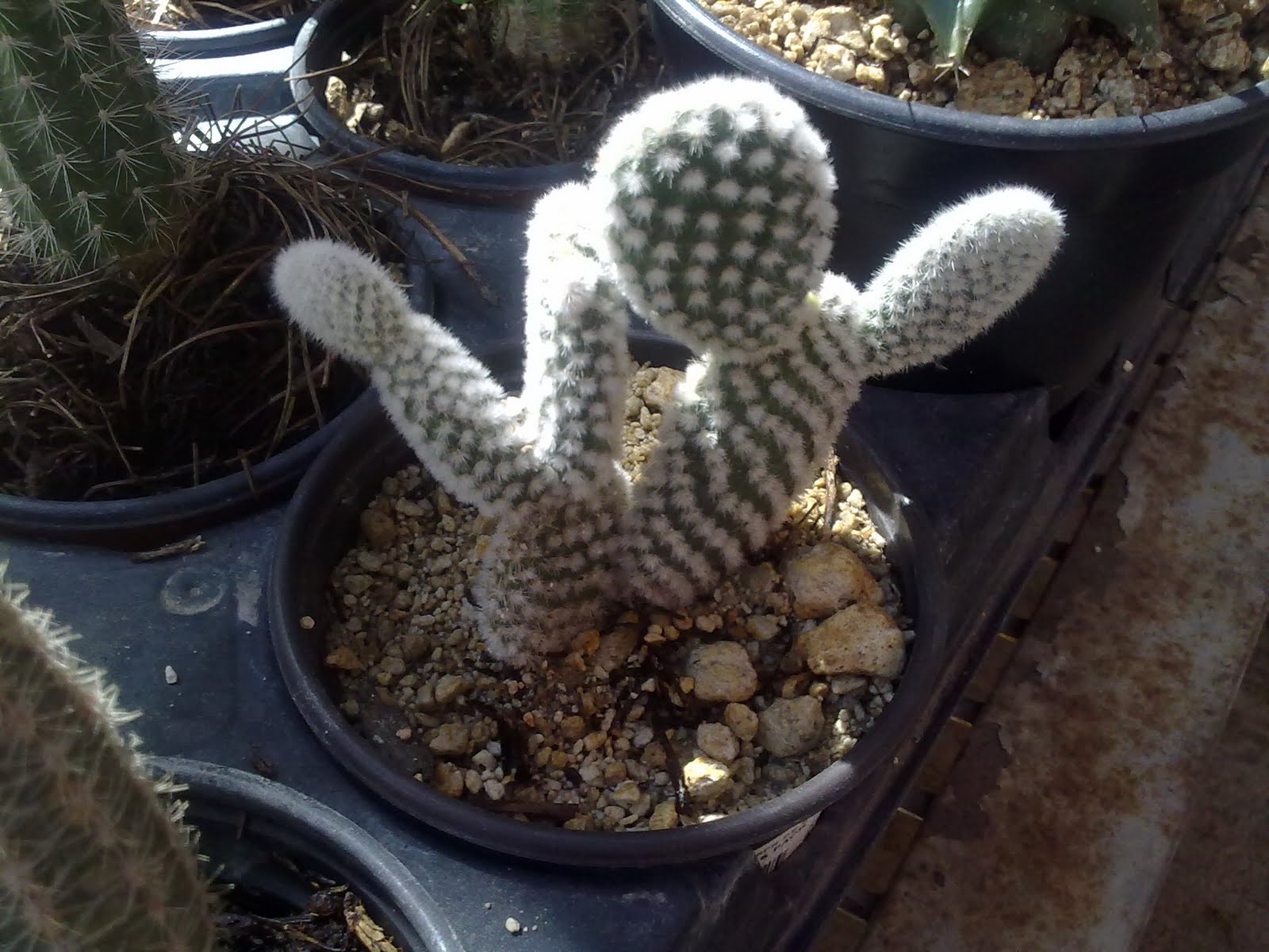 12022010065.jpg