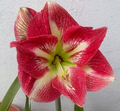 12022012669.jpg