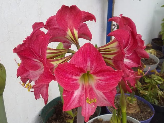 12022012670.jpg