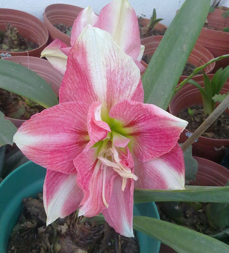 12022013428.jpg