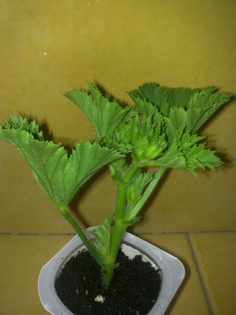 12042012024.jpg