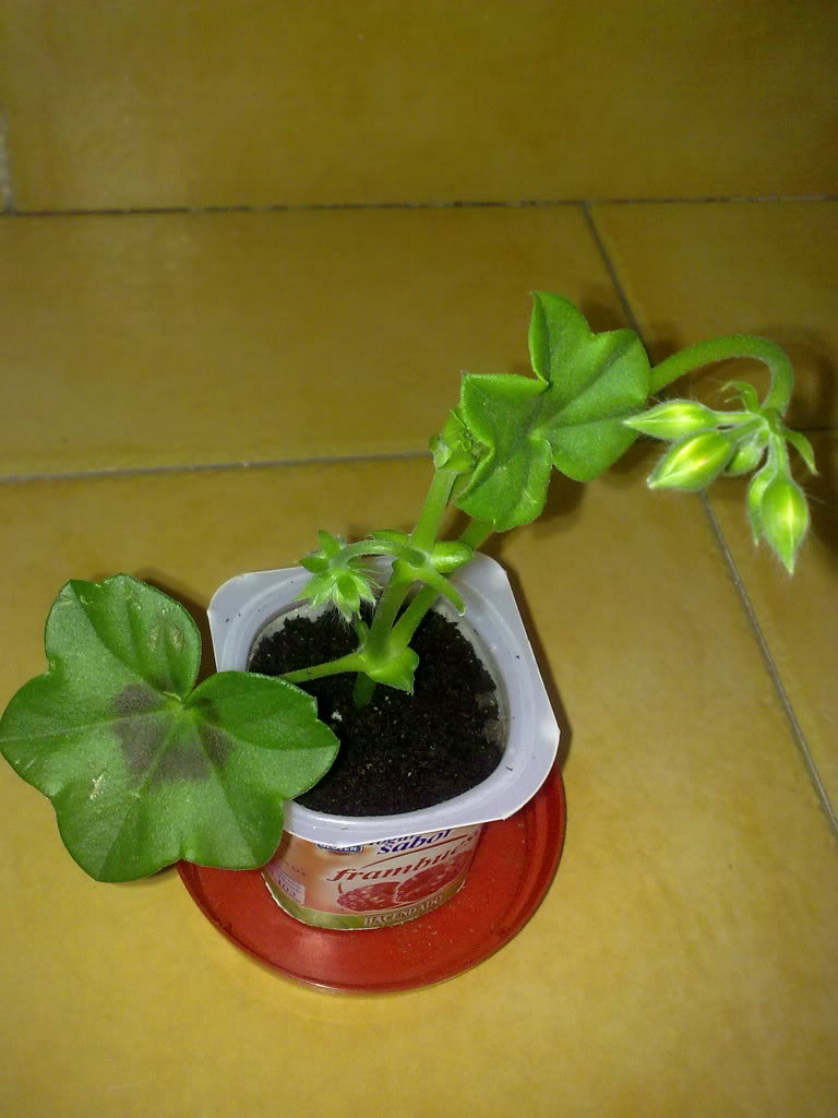 12042012025.jpg
