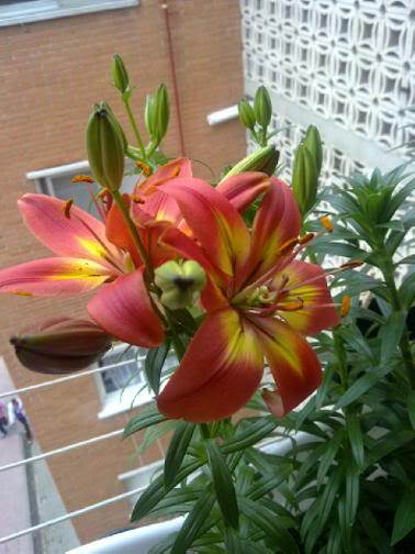 12052011110.jpg
