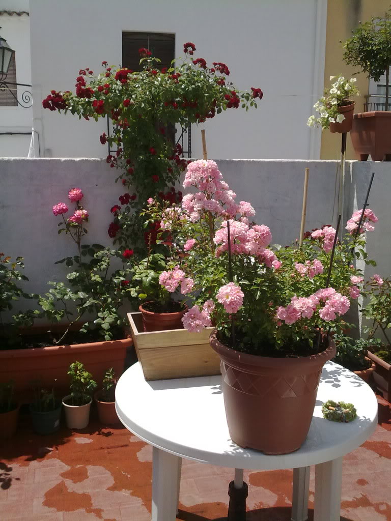 120520111865.jpg