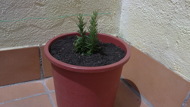 12052011558.JPG