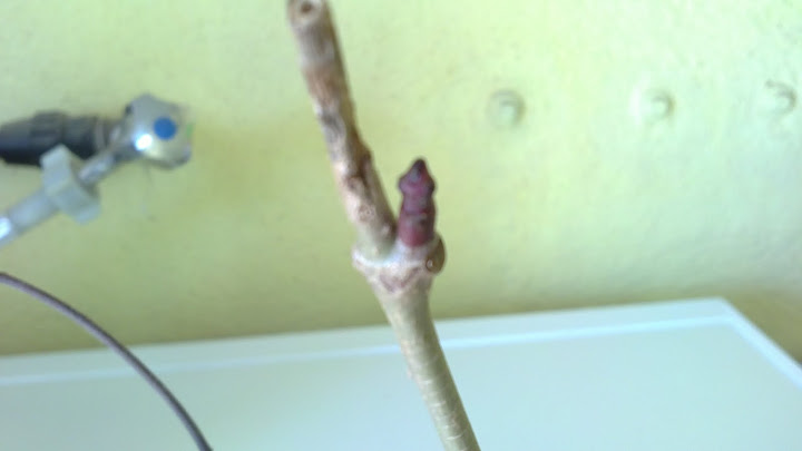12052011565.JPG