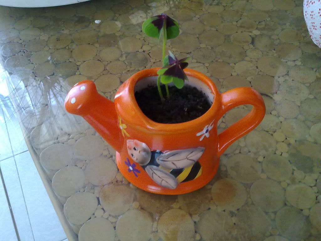 120520119044.jpg