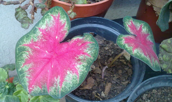 120520121505.jpg