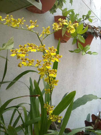 120520121506.jpg