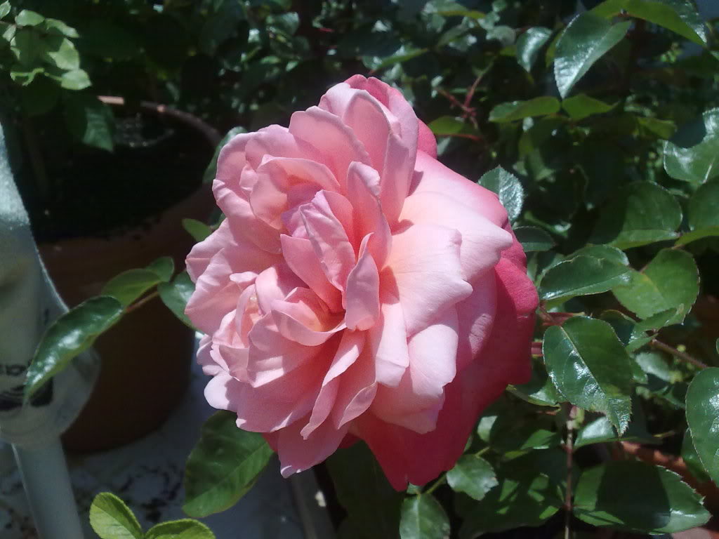 120620111925.jpg