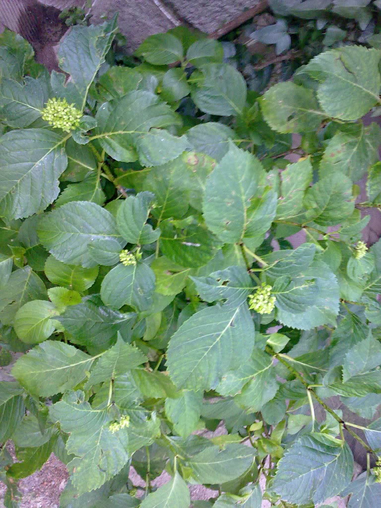 12062011213.jpg