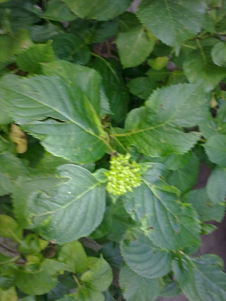 12062011214.jpg