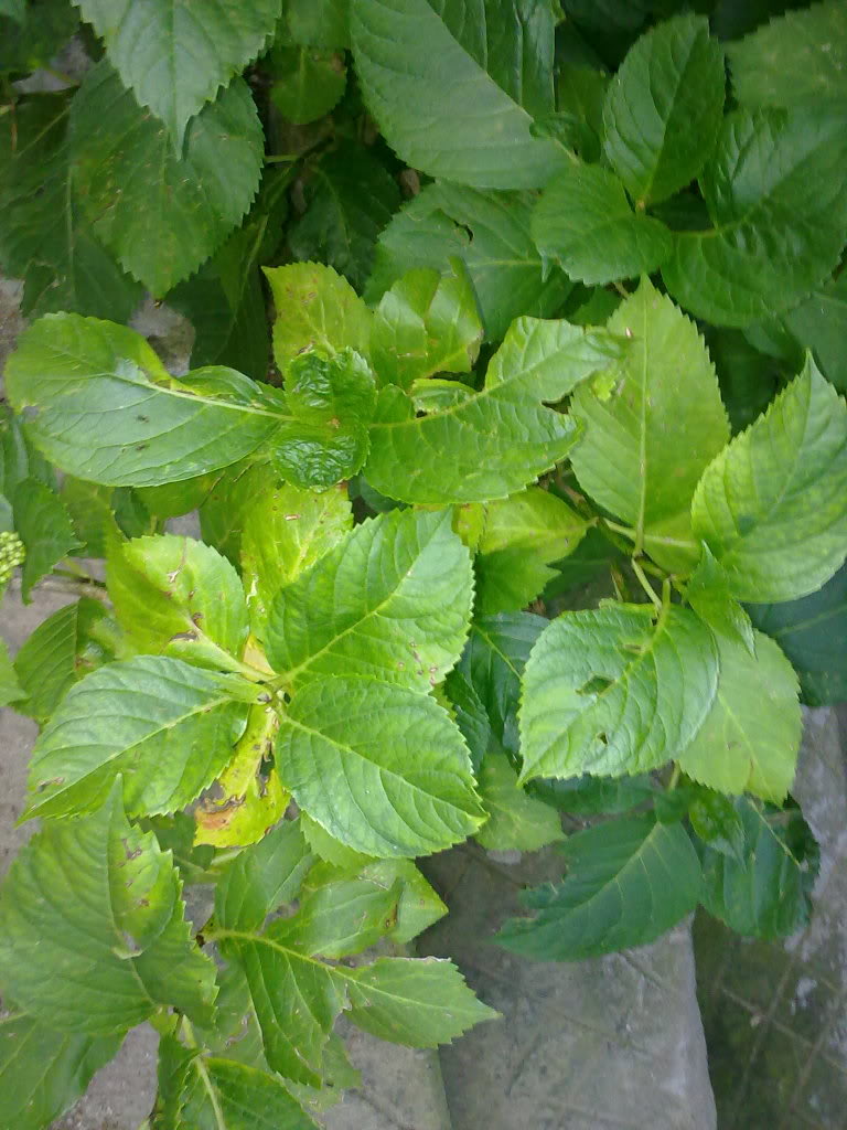 12062011215.jpg