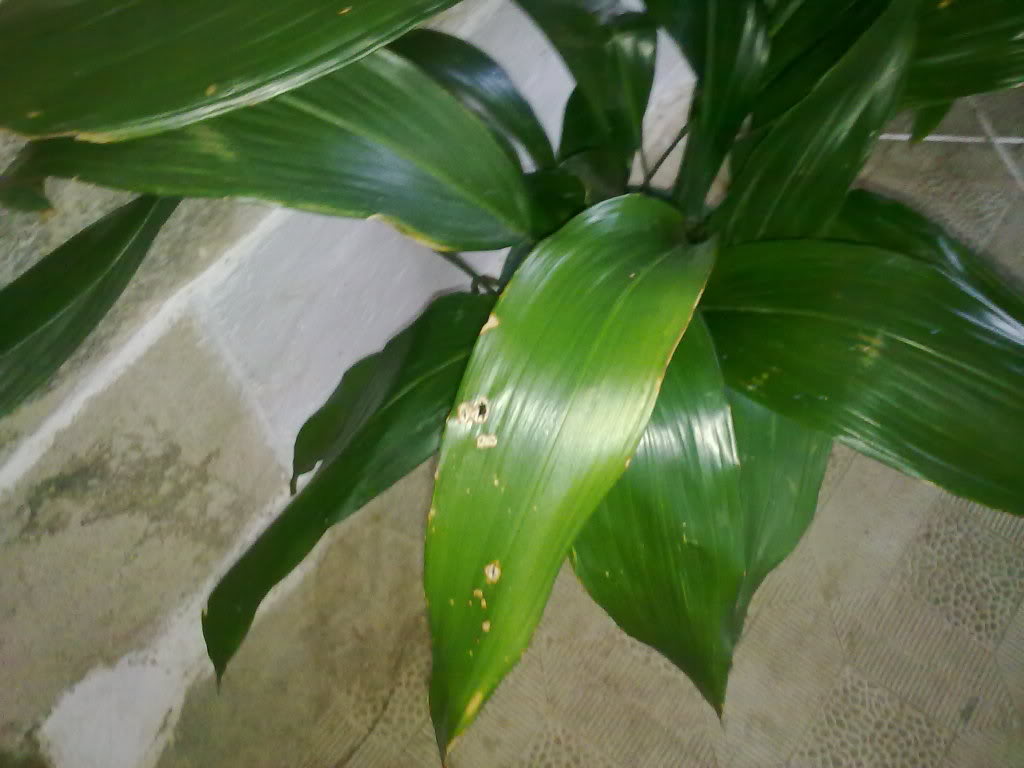 12062011216.jpg
