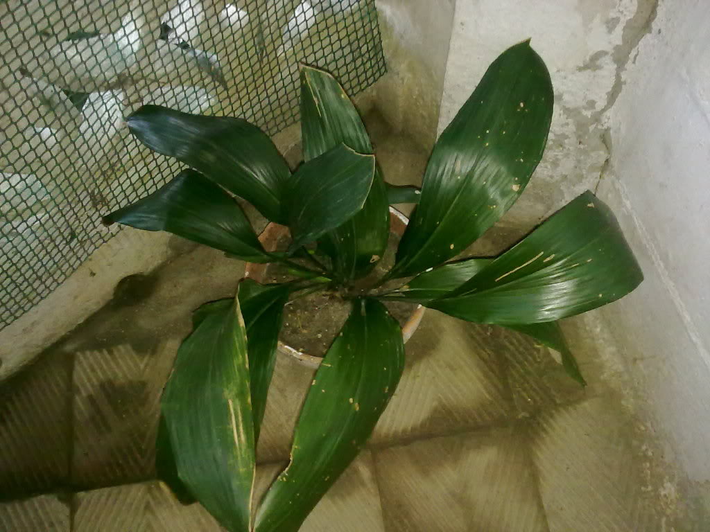 12062011217.jpg