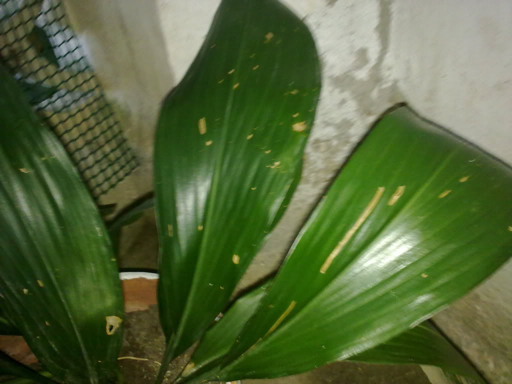12062011218.jpg