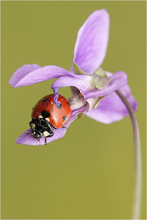 12071638EK.jpg