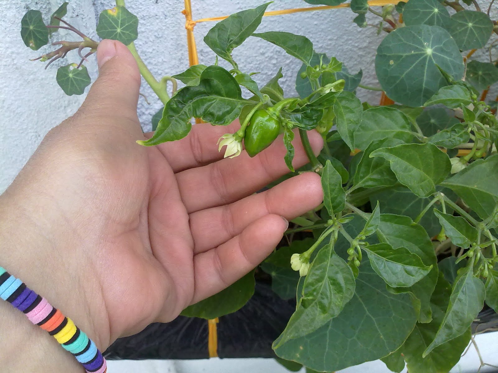 120720101418.jpg