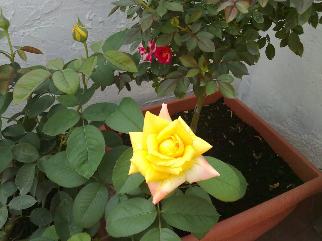 12082010798.jpg