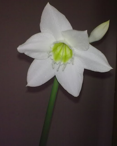 120820113897.jpg