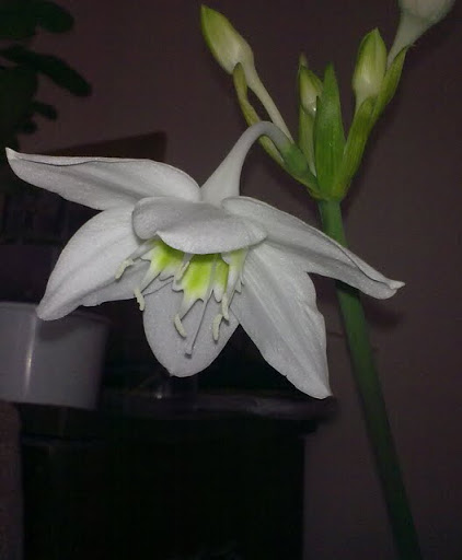 120820113899.jpg
